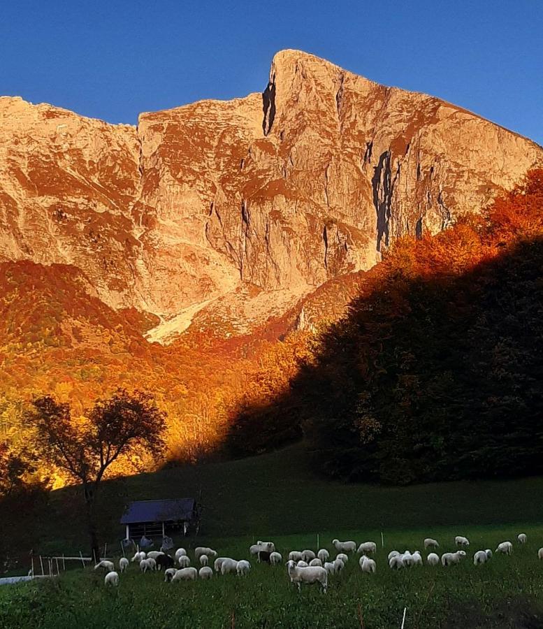 Apartamento Hisa Planica Kobarid Exterior foto